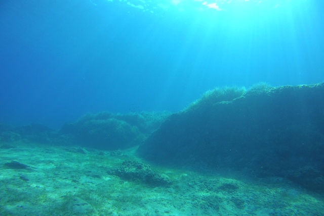 Clownfish´s Diving, Ayia Napa, Zypern