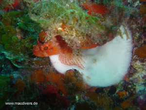 El Hierro, El Hierro,Spanien