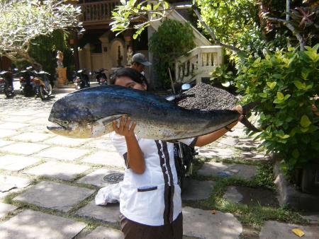 Anom Beach Inn,Candidasa,Indonesien