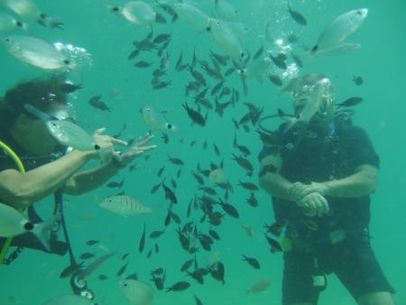 Deep Sea Diving,Karaburun Alanya,Türkei