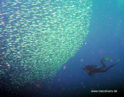 El Hierro, El Hierro,Spanien