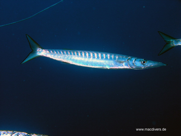 El Hierro, El Hierro,Spanien
