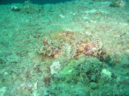 Dream Team Divers,Ya Nui,Phuket,Andamanensee,Thailand