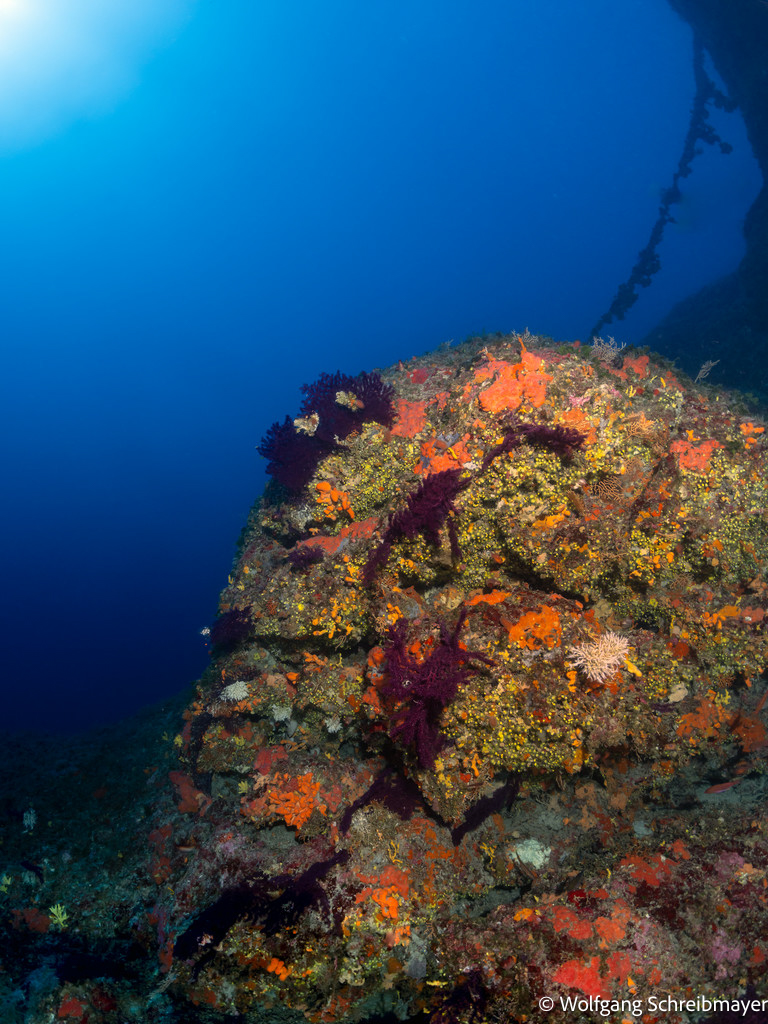 Punta Diving, Betina, Kroatien