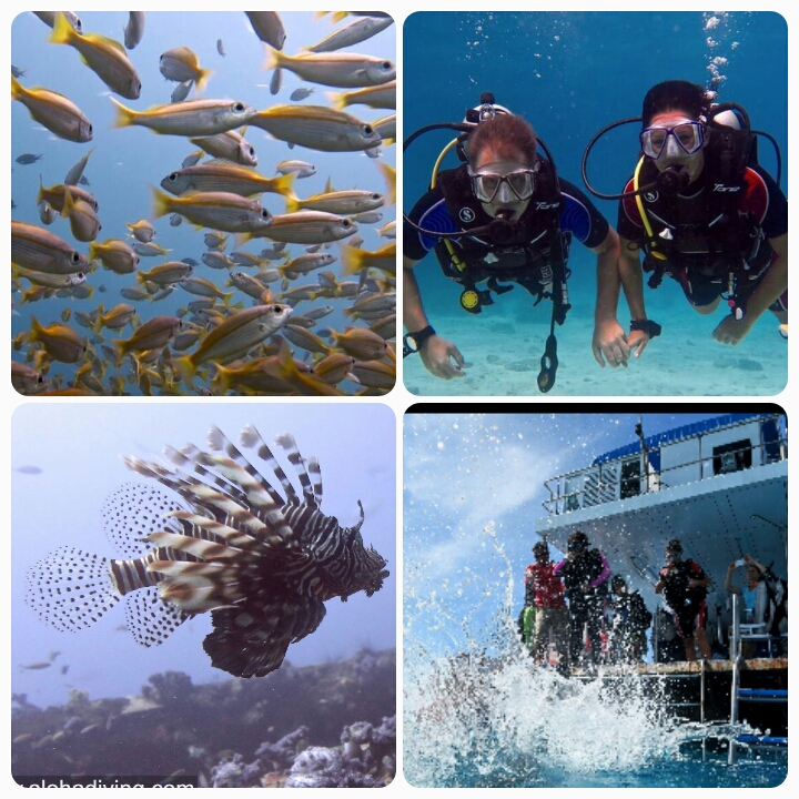 Aloha Ocean Adventures, Rawai, Phuket, Thailand, Andamanensee