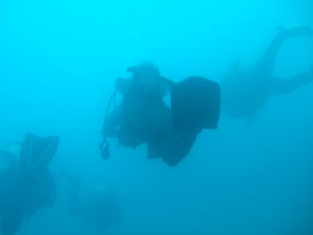 Pico Sport Scuba Diving & Whale Watching,Portugal