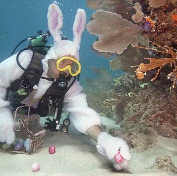 Osterangebote Emperor Divers