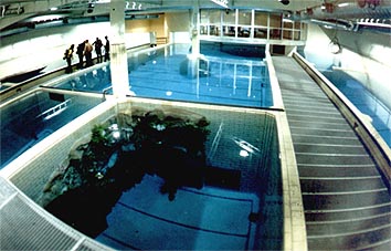 U-49 Indoor Diving, Aufkirchen, Deutschland, Bayern