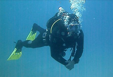 Werner Lau Diving Centers - Aldiana,Fuerteventura,Kanarische Inseln,Spanien
