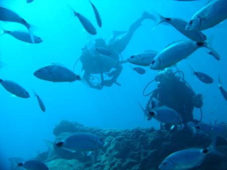 Scuba Side Diving Center (Shut up & Dive),Hotel Turquoise,Side,Türkei