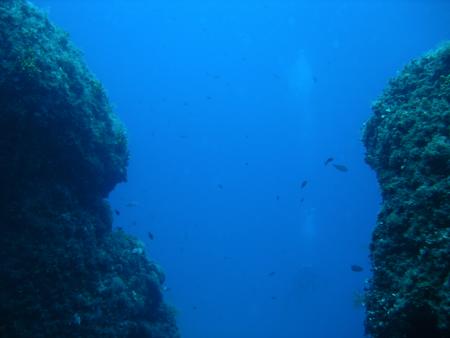 diving.DE Cres,Insel Cres,Kroatien