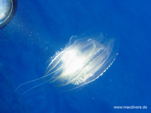 El Hierro, El Hierro,Spanien
