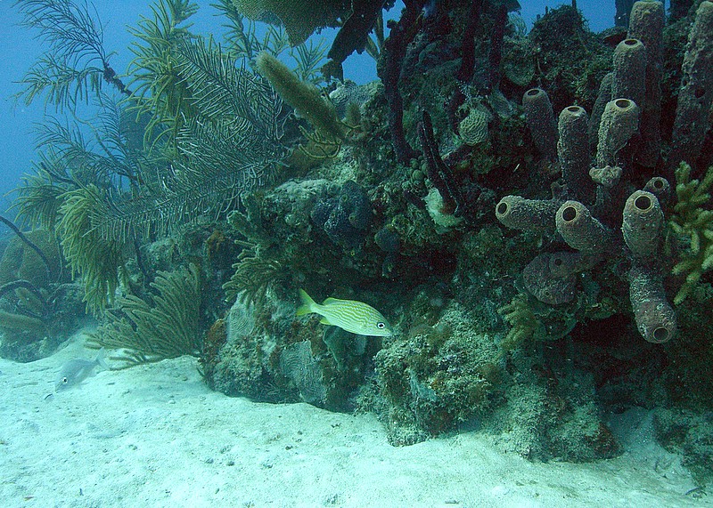 Bayahibe - Parque Nacional II, Bayahibe,Dominikanische Republik
