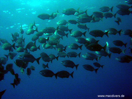 El Hierro, El Hierro,Spanien