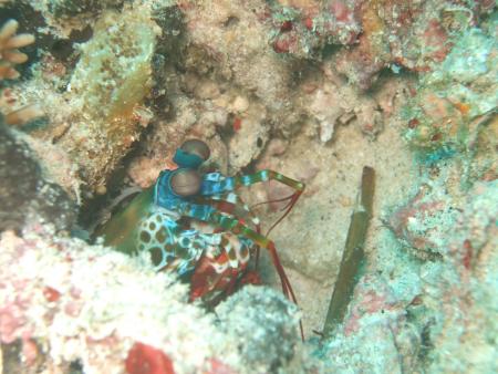 Reefseekers,Labuan Bajo,Allgemein,Indonesien