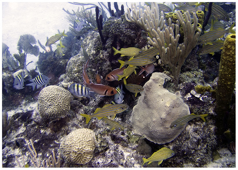 Bayahibe, Bayahibe,Dominikanische Republik