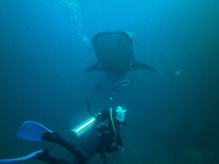 Extra Divers Al Sawadi,Oman
