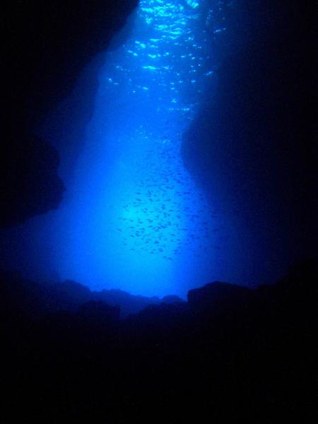 Wahoo-Diving,Santa Maria,Azoren,Portugal