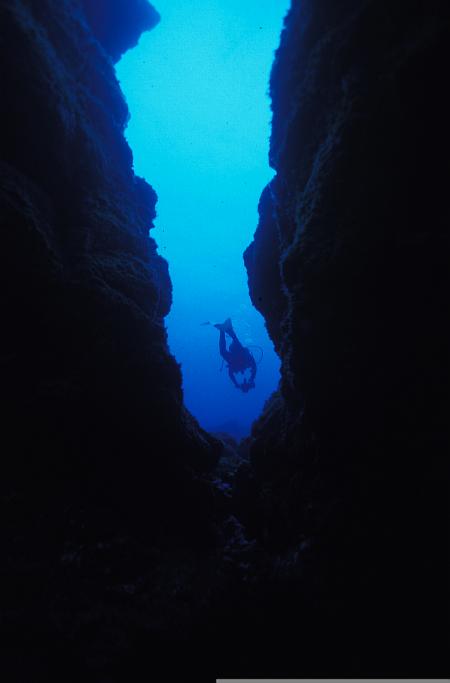 Fan Diving,El Hierro,Kanarische Inseln,Spanien