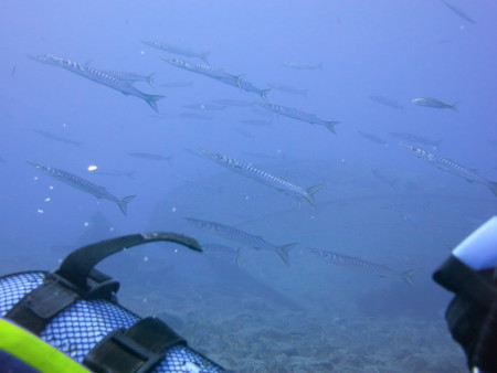 Diving Center Nautico,Gran Canaria,Kanarische Inseln,Spanien