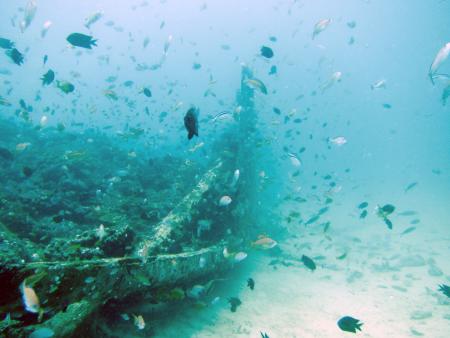 Dolphinbay-Divers,Puerto Galera,Philippinen