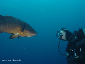 El Hierro, El Hierro,Spanien