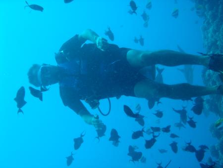 Fun Dive,Moorea,Französisch-Polynesien