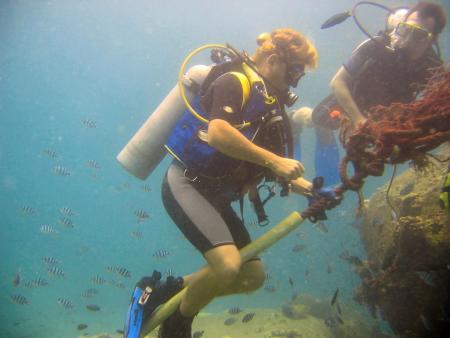 Calypso Diving,Koh Samui,Golf von Thailand,Thailand