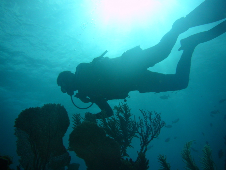 Planet Scuba Mexico,Mexiko