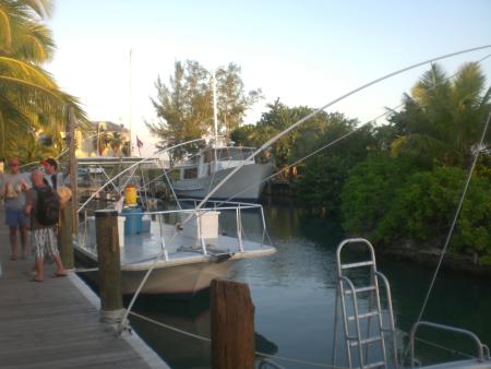Stuart Cove,New Providence,Bahamas