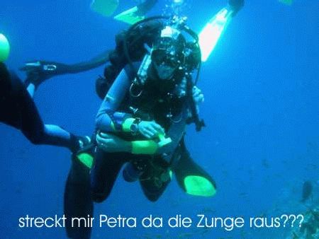 Go Dive DC `Paradise`,Hilton Sharm Waterfalls Resort,Sharm el Sheikh,Sinai-Süd bis Nabq,Ägypten