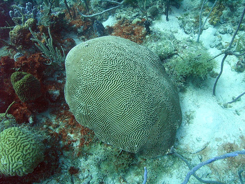 Bayahibe - Parque Nacional II, Bayahibe,Dominikanische Republik
