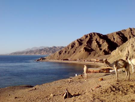 Barakuda DC,Lagona Village,Dahab,Sinai-Nord ab Dahab,Ägypten