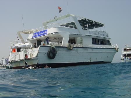 Aquarius Diving Club,Sharm el Sheikh,Sinai-Süd bis Nabq,Ägypten