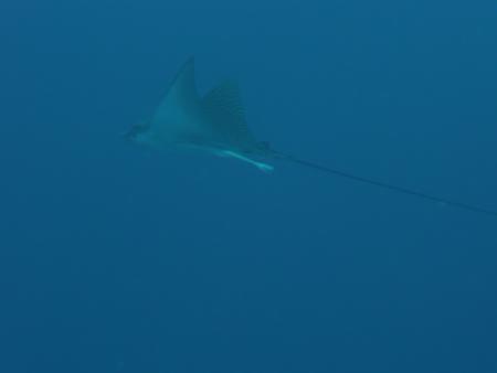 Beachsafari Diving Camp Marsa Alam,Marsa Alam und südlich,Ägypten