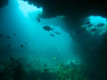 Malibu Diving,Rottnest Island,Westaustralien,Australien