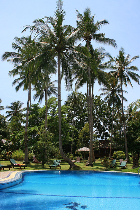 Mapia Resort Pool, Celebes Divers Sulawesi - Onong Resort, Mapia Resort, Kuda Laut Boutique Dive Resort, Indonesien, Sulawesi