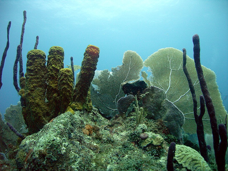 Bayahibe - Parque Nacional II, Bayahibe,Dominikanische Republik