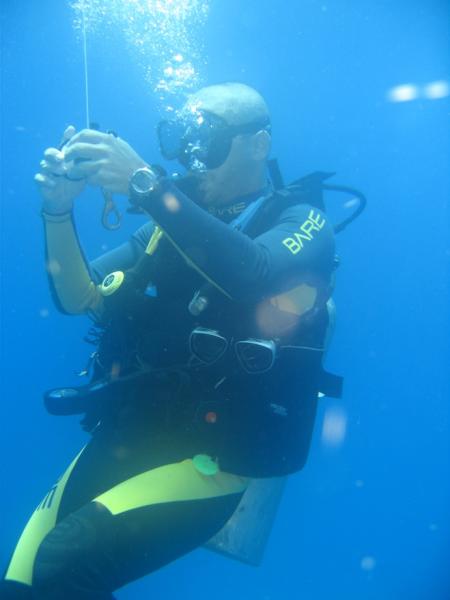 Diversity diving,Mexiko