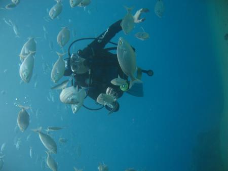 R.C. Diving,Puerto del Carmen,Lanzarote,Kanarische Inseln,Spanien