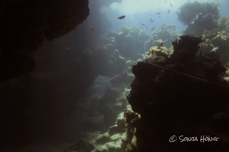 TG Caves mit herrlichen Lichtspielen, diving.DE Akassia, Ägypten, El Quseir bis Port Ghalib