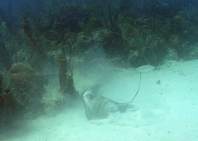 Bayahibe - Parque Nacional II, Bayahibe,Dominikanische Republik