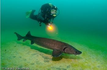 Harald Slauscheck - Gr&uuml;blsee