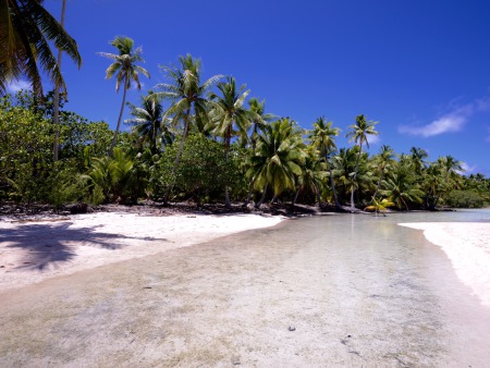 Aqua Tiki II,Katamaran,Fakarava,Französisch-Polynesien