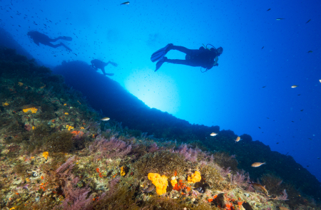 Utina Diving College,Xlendi Bay,Gozo,Malta