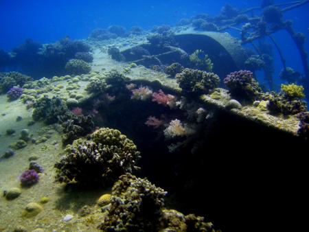 Beachsafari Diving Camp Marsa Alam,Marsa Alam und südlich,Ägypten