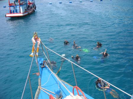 Calypso Diving,Koh Samui,Golf von Thailand,Thailand