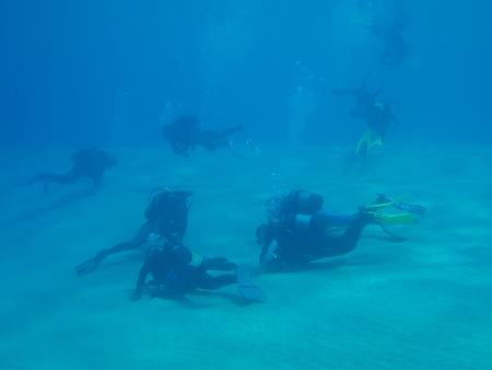 Easy-Diving Fuerteventura,Costa Calma,Kanarische Inseln,Spanien