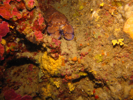 St. Andrews Divers Cove,Xlendi,Gozo,Malta