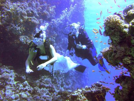 Orca Dive Club,Coral Garden,Safaga,Ägypten